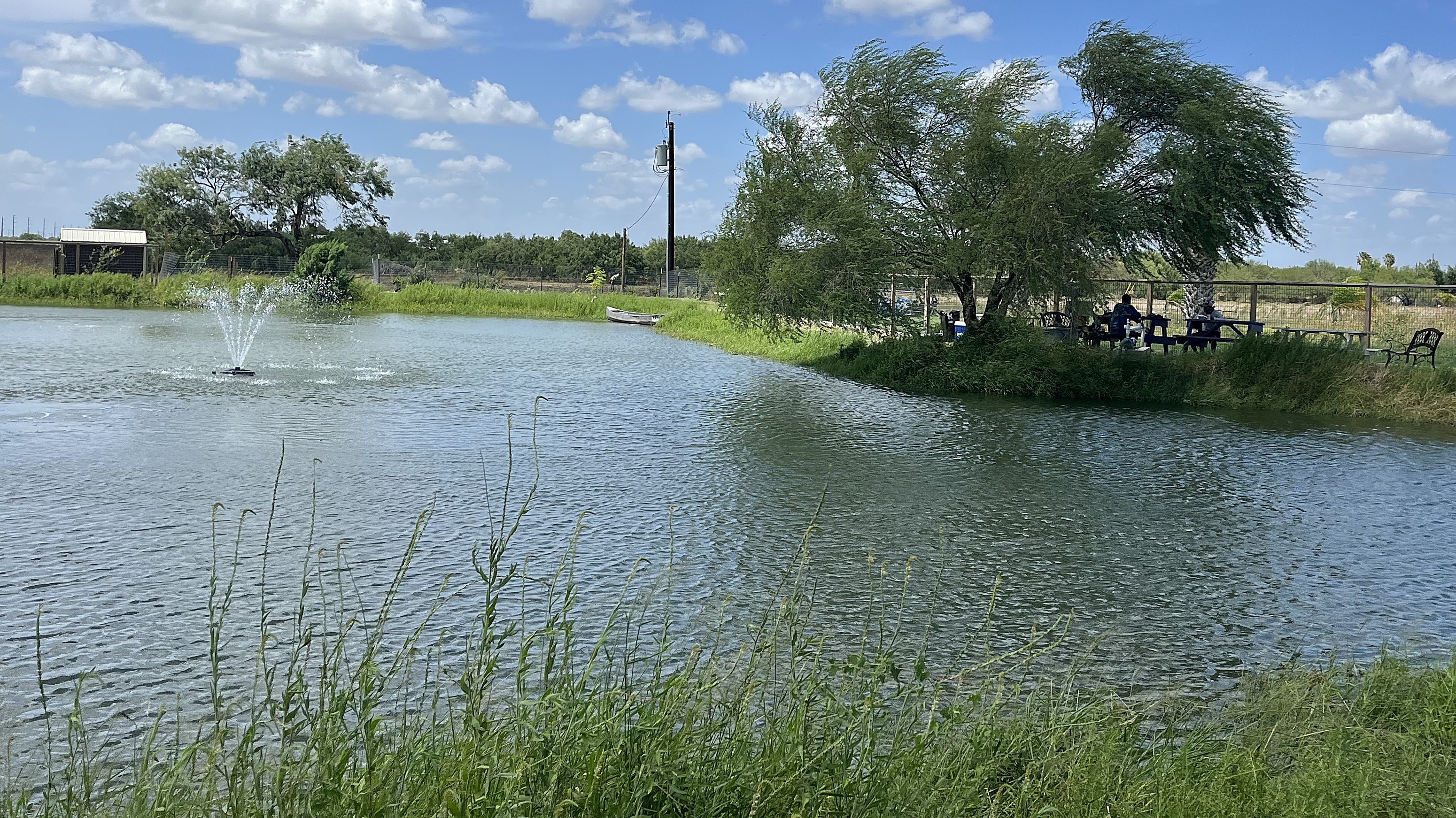 Native trees and green banks around the community pond at Rio Grande Estates